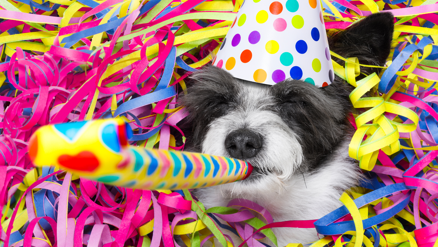 Happy New Year's Eve from PetPerennials.com