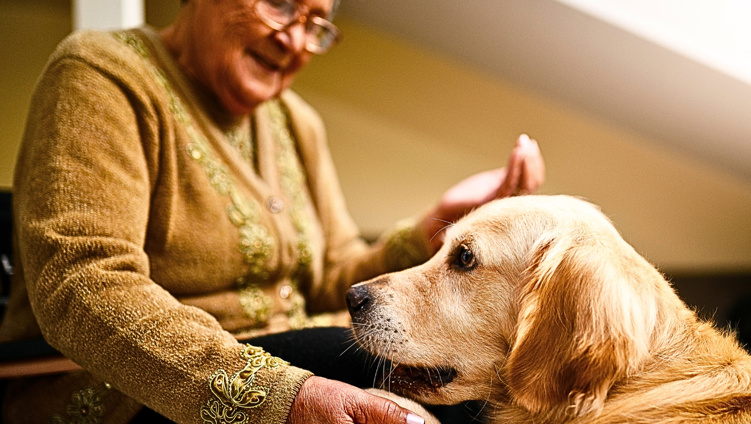Missing Therapy Pets blog Ann Hoff
