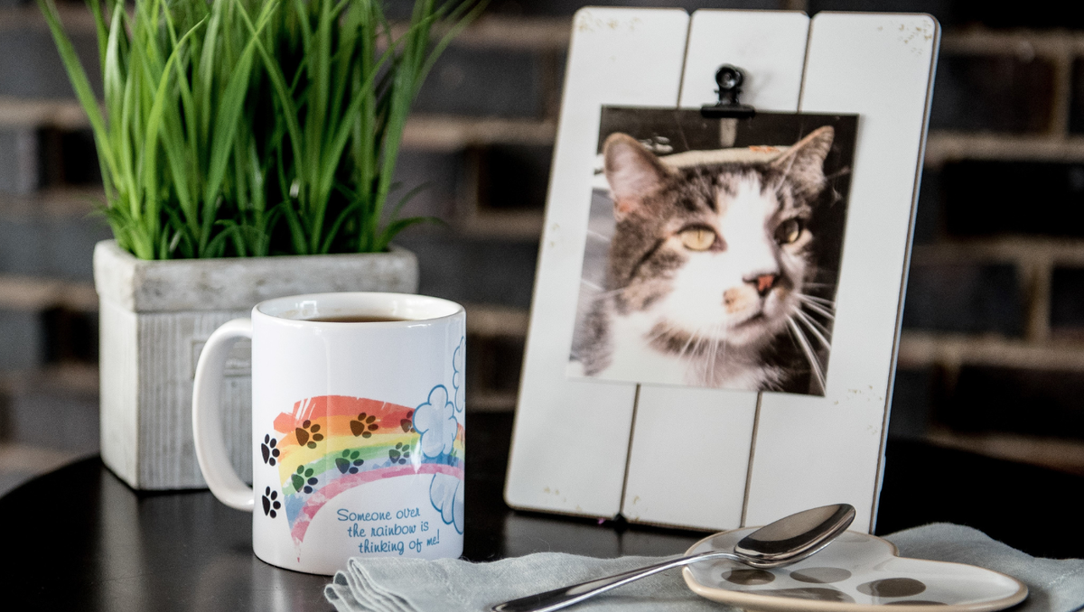 Framed photo of beautiful cat Snookie with Rainbow Bridge Mug Loss of Pet Remembrances
