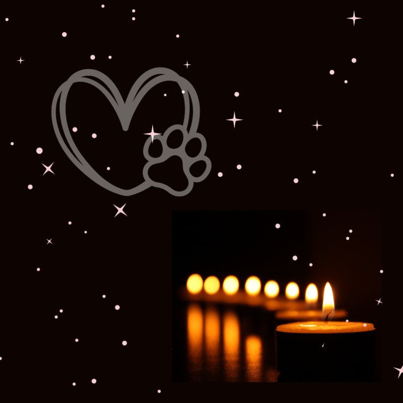 Healing Hearts from Pet Loss Guide PetPerennials.com