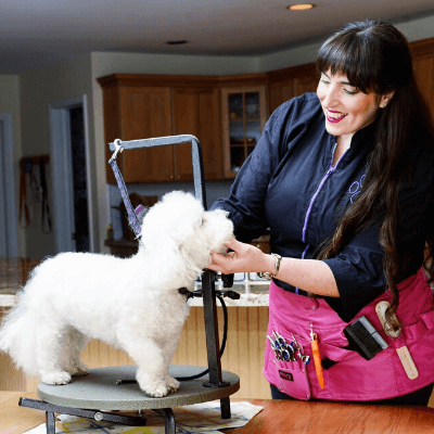 A House Call Pet Groomer Changes Things Up Amidst Era of Corona Virus