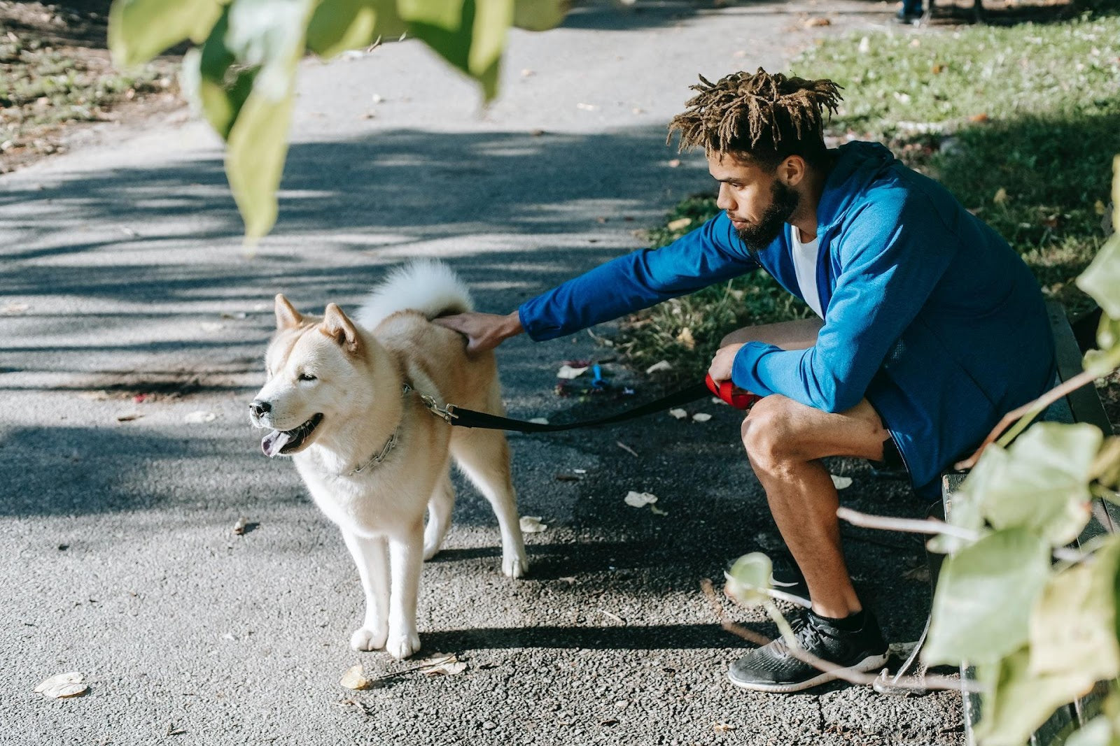 Keeping your pet in top shape PetPerennials.com blog Aug 2023 photo credit Pexels