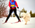
          
            Skijoring PetPerennials.com Blog Winter Fun with Pets
          
        