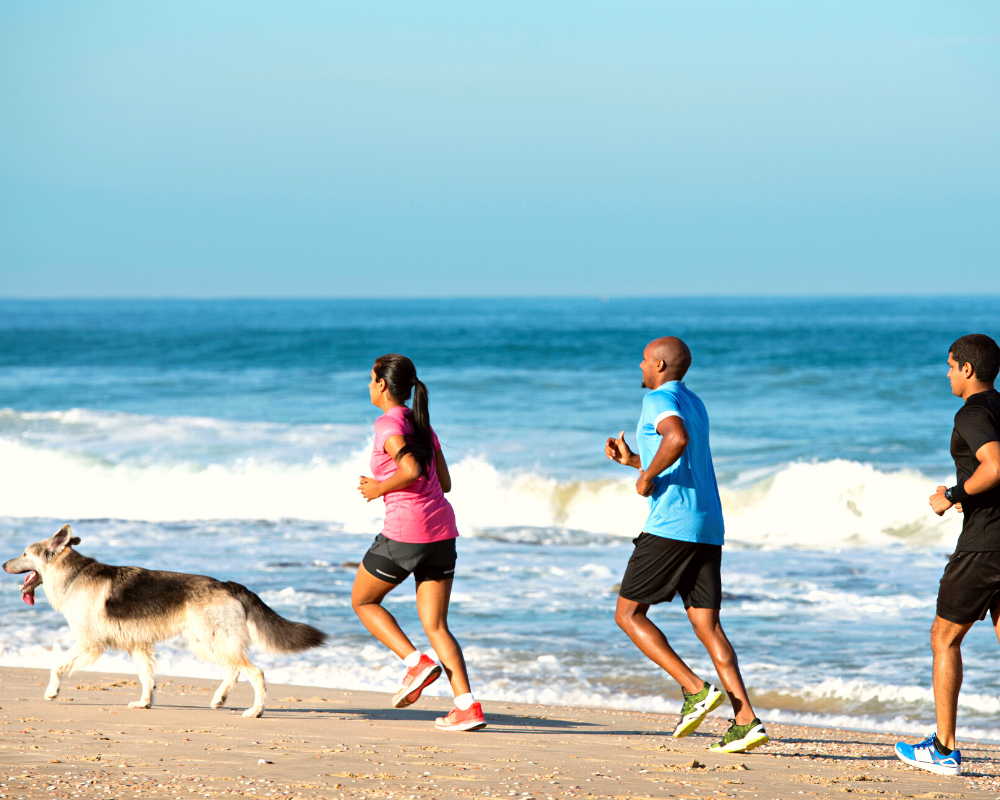 Running with Pets is a Great Way to Stay in Shape and Not be Bored PetPerennials.com Blog