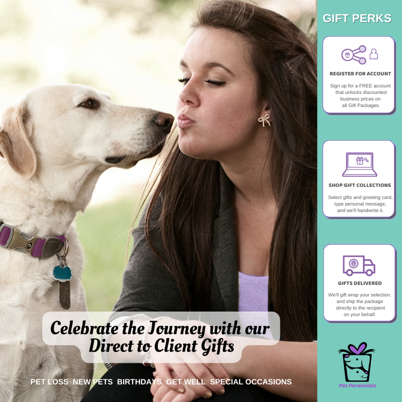 
          
            PetPerennials.com Gift Perks Service for Pet-centric Businesses Sympathy Gifting affordable and convenient
          
        