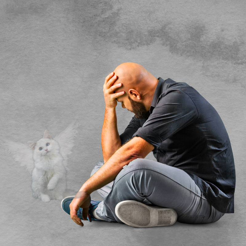 The Raw Edge of Grief Blog by Animal Communicator Ann Hoff PetPerennials.com