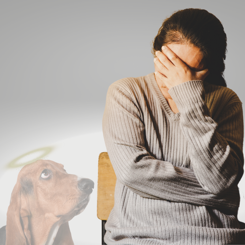 Pet Loss Support at PetPerennials.com thoughtful gifting for loss