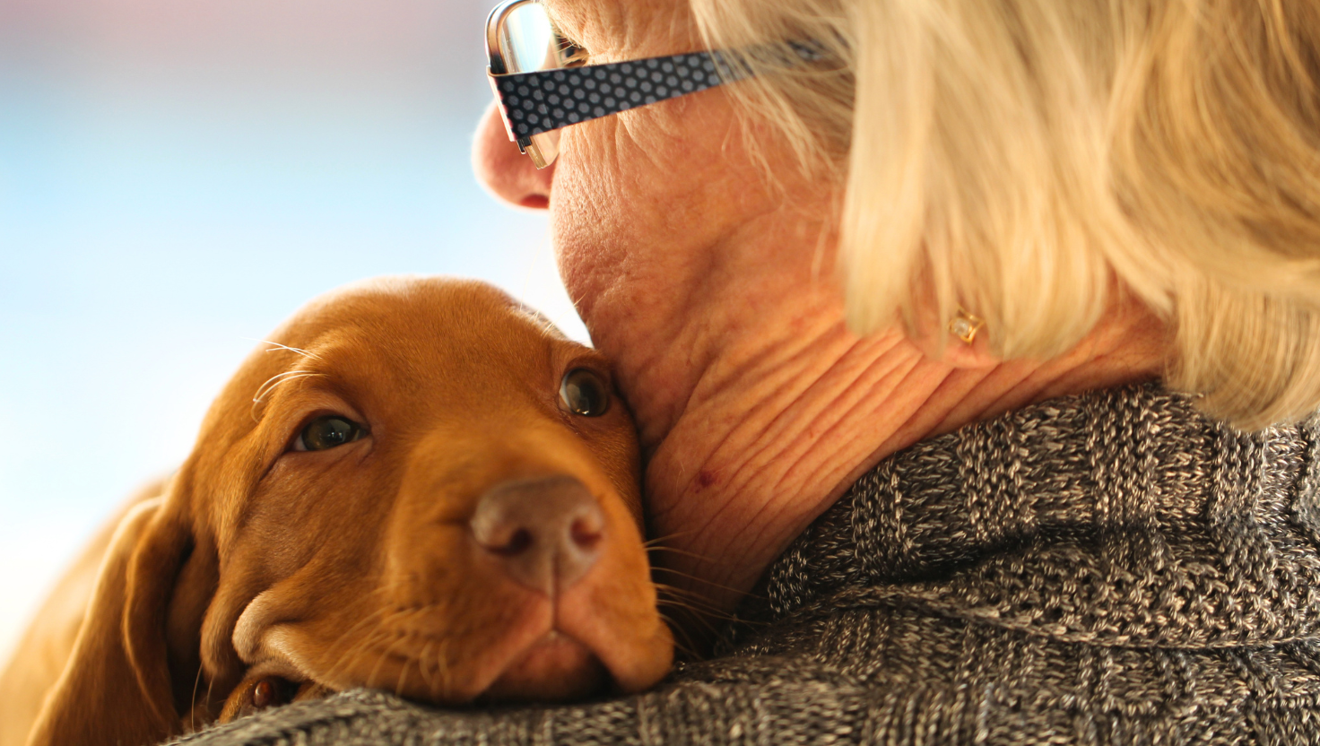 Woman hugging a senior pet.