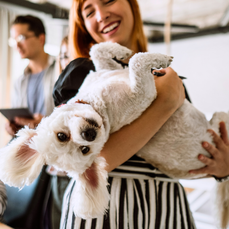 The Importance of Pet Businesses Bonding with Pets and Their Owners