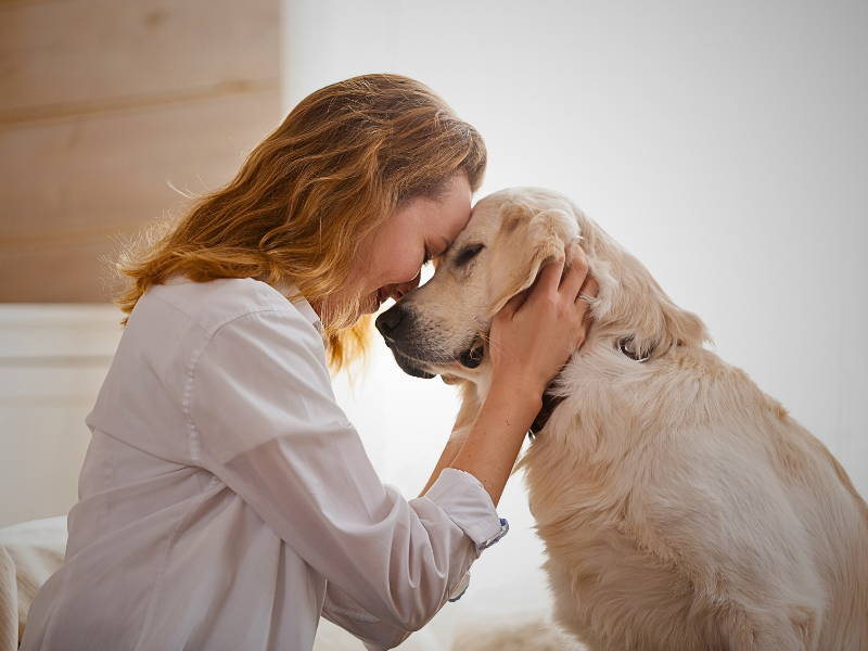 Pets as Our Spirit Guides Ann Hoff 