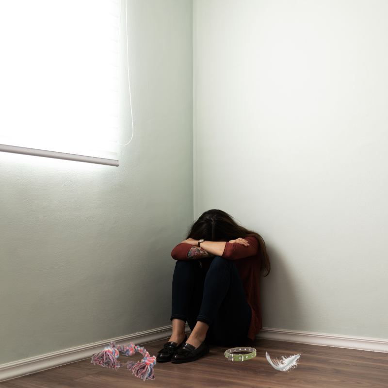 Multiple Grief Cumulative Grief: What It Is and How to Cope by Ann Hoff – Pet Perennials