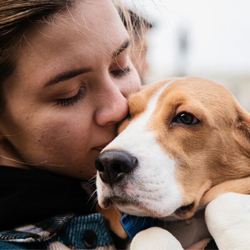Pet Loss Memorial Thoughtful Sympathy Gift Loss of Dog