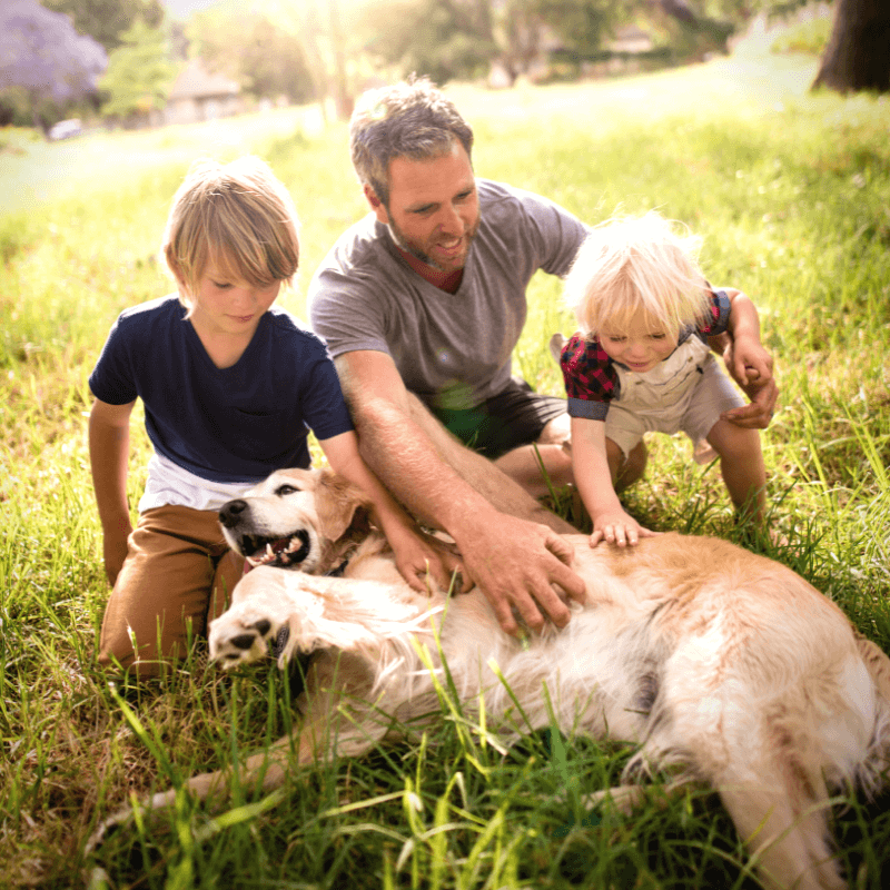 A Dad and His Dog June 2021 Pet Perennials