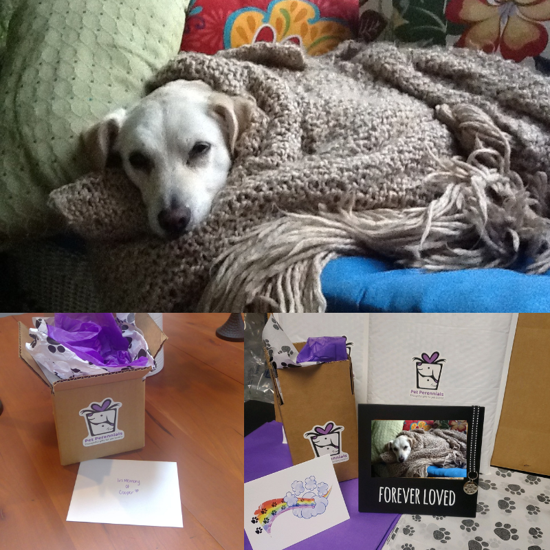 PetPerennials.com Gift Perks Integration Pet Business Software Companies