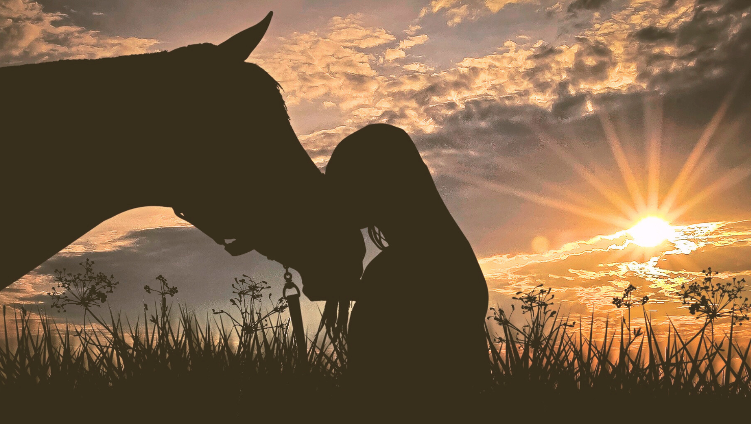 Woman and Horse Silhouette with fading sun in background Loss of Horse Sympathy Gift Blog Cover