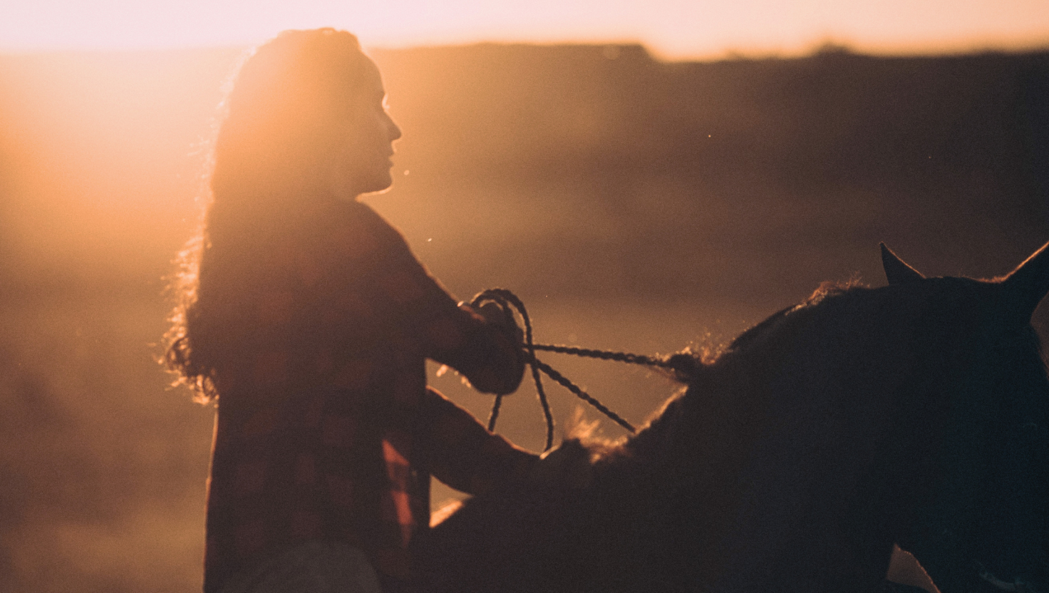 A tribute to Ann Hoff's beloved horse Rowdy woman riding into the sunset