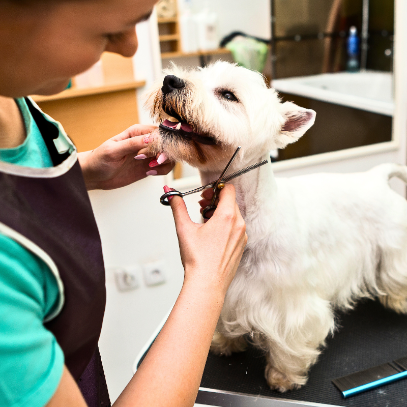 Mobile animal clearance grooming