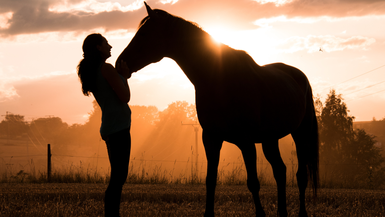 Thoughtful Gifts for Loss of a Horse