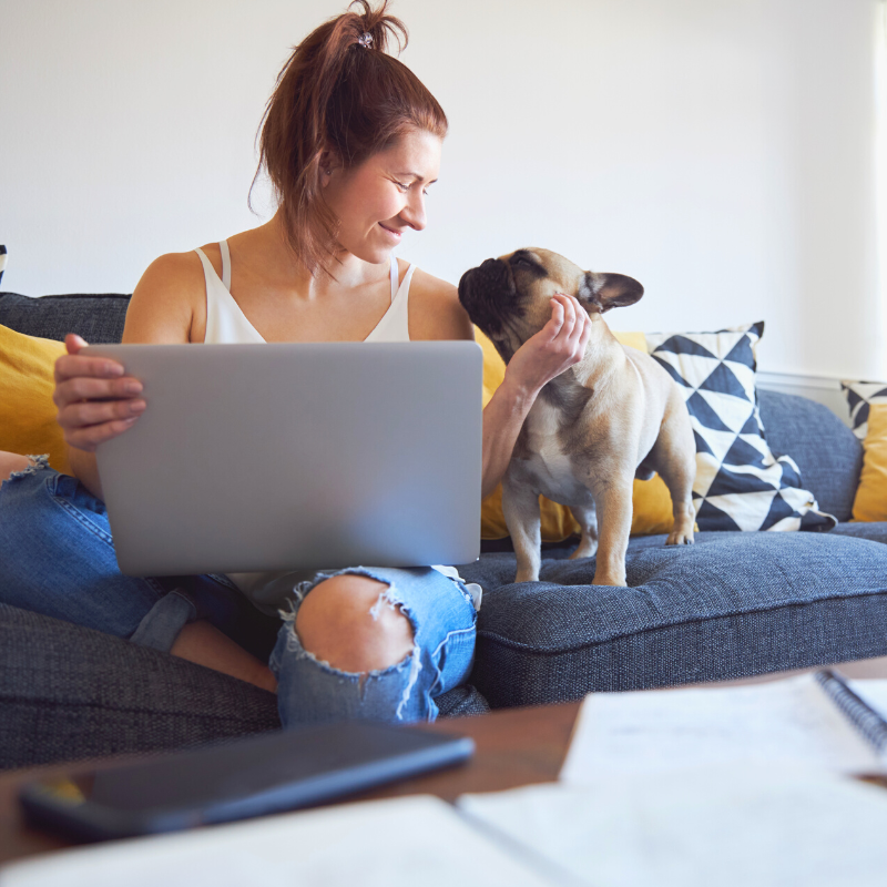 
          
            Tips for Working from Home with Pets
          
        