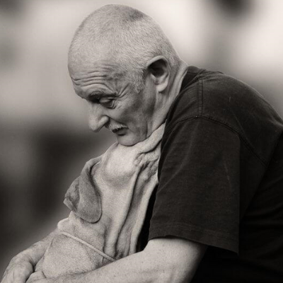 Grieving the Loss of a Pet By Julie Axelrod - Guest Blog