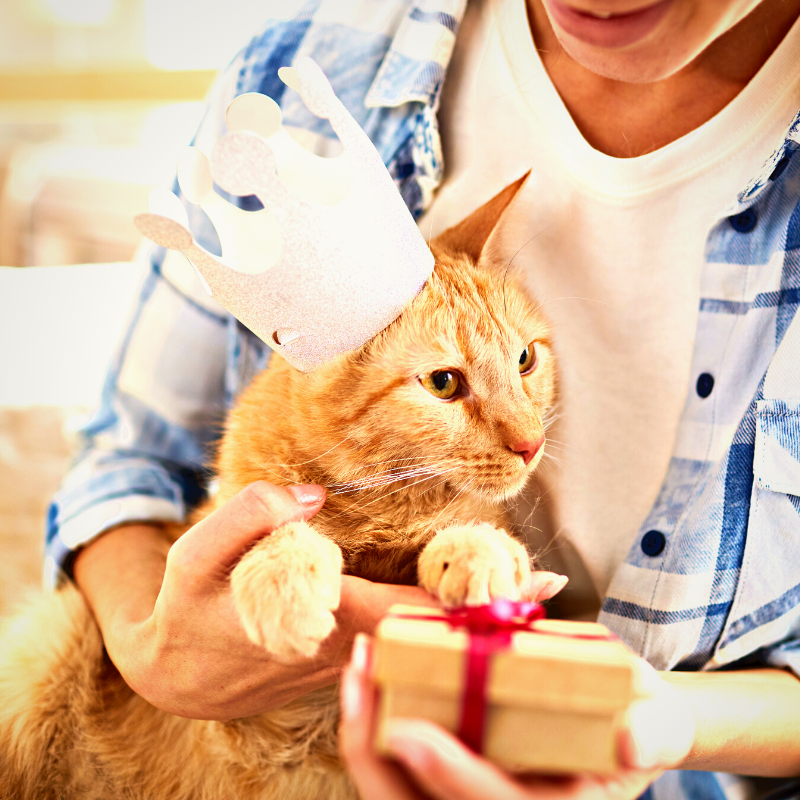PetPerennials.com Gift Perks Business Pricing for B2C Gifts Pet Loss