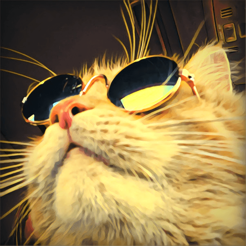 Samson The Therapy Cat AnnHoff.com Animal Communicator
