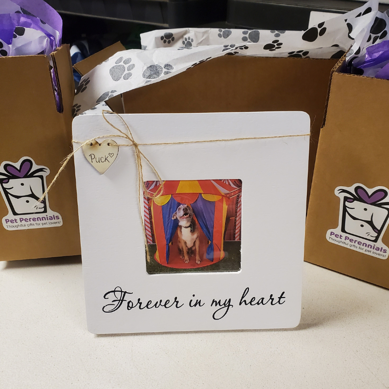 Pet Perennials Thoughtful Gifts for Pet Loss Gift Perks for businesses https://petperennials.com/pages/personalized-pet-loss-sympathy-gifts