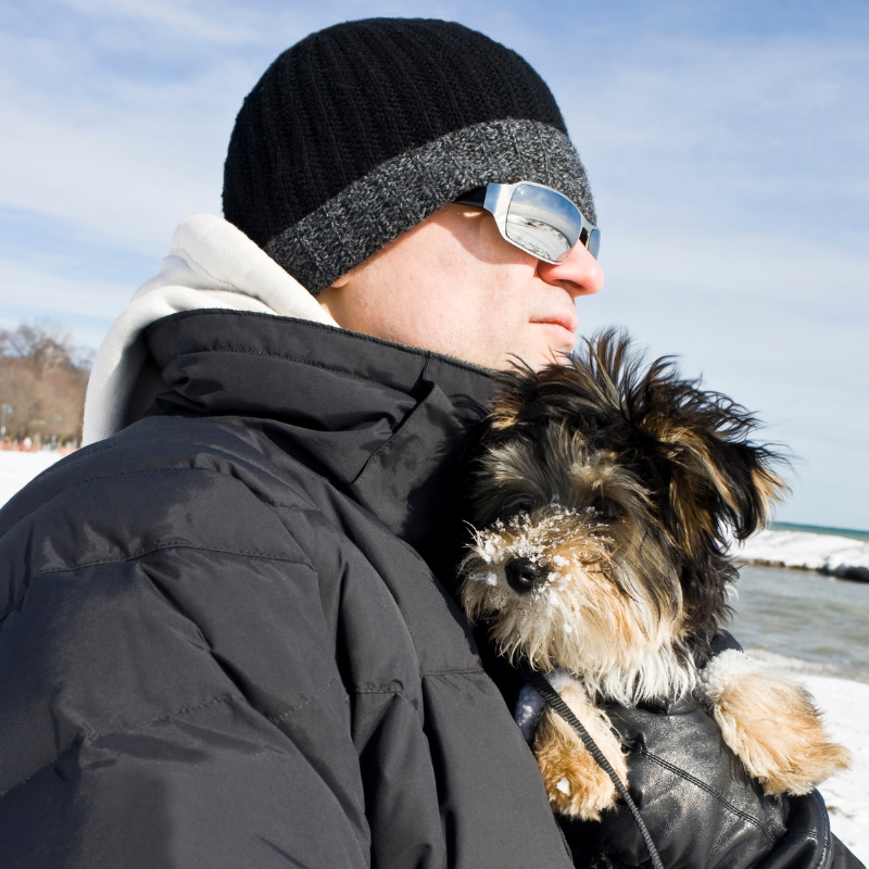 Winter and Safety Challenges (Pet Safety Too)