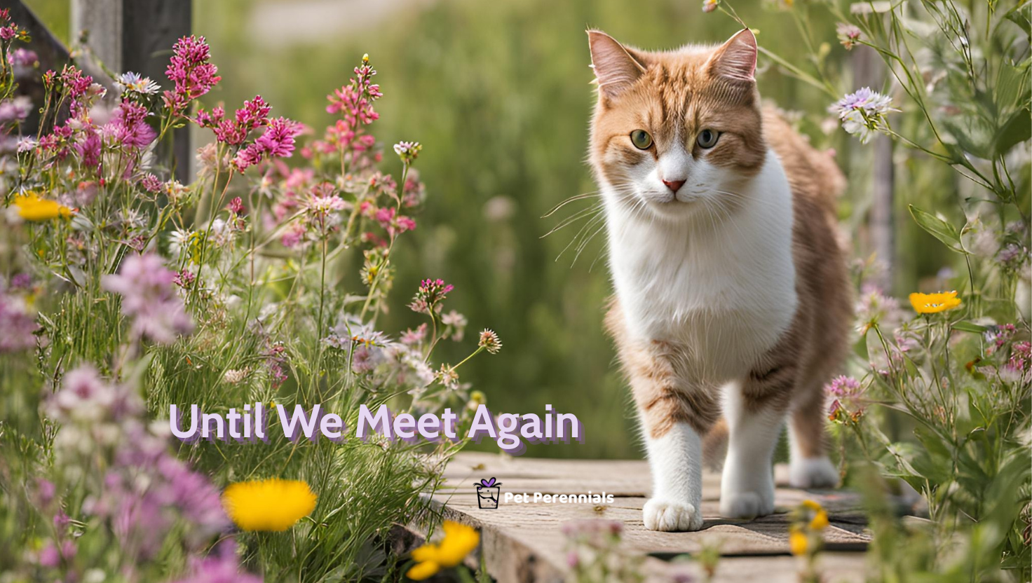 Garden Living Tribute Pet Loss