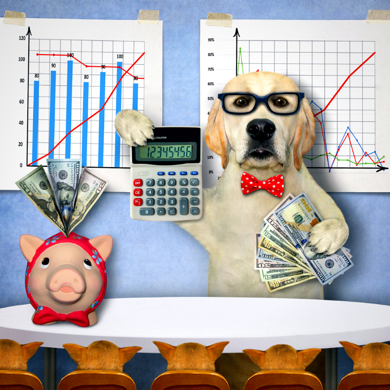 The Real Cost of Owning A Dog doggypedia.com petperennials.com