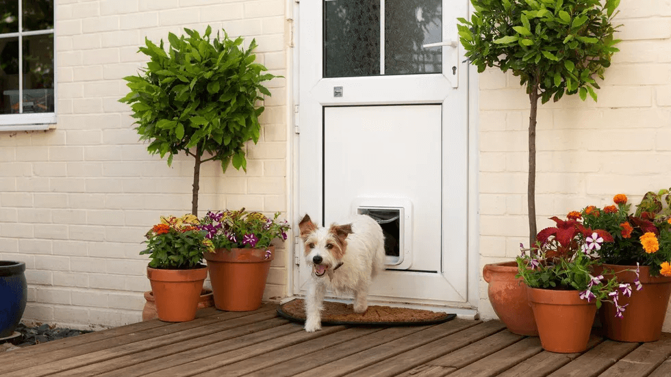 Pet Door Photo courtesy SureFlap - C/net Smart home technology for pet owners petperennials.com
