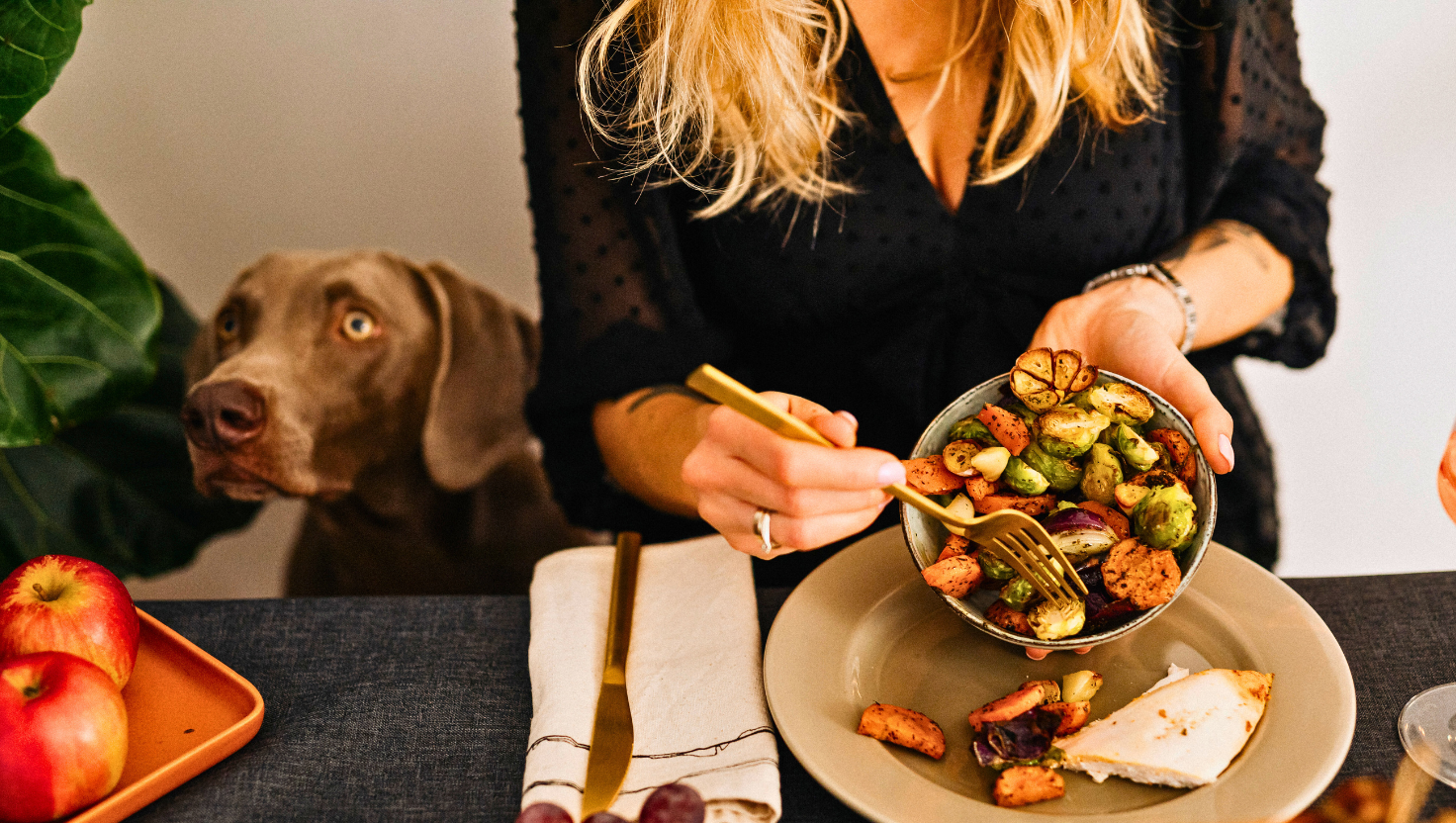 Pet Safe Thanksgiving