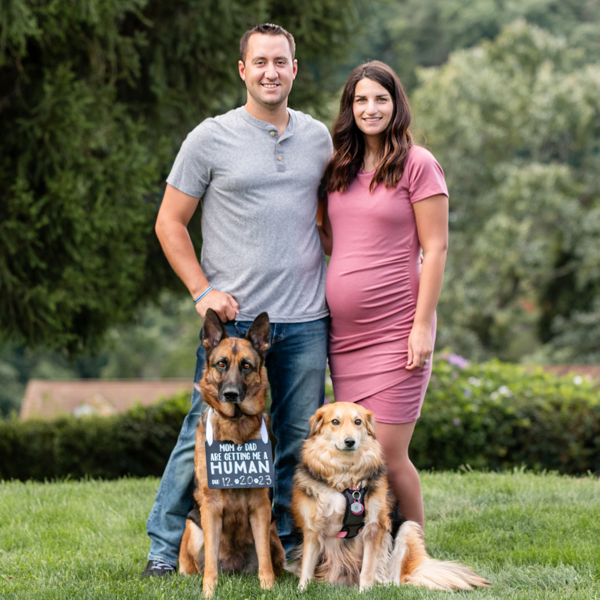 Expecting couple with their two dogs sharing a joyful moment — perfect inspiration for pet themed gifts and pet sympathy gifts.