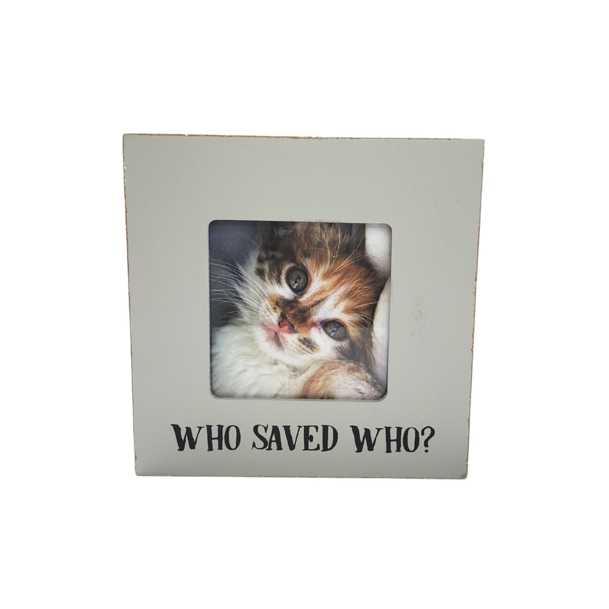 TRADESHOW SALE - Who Saved Who Frame