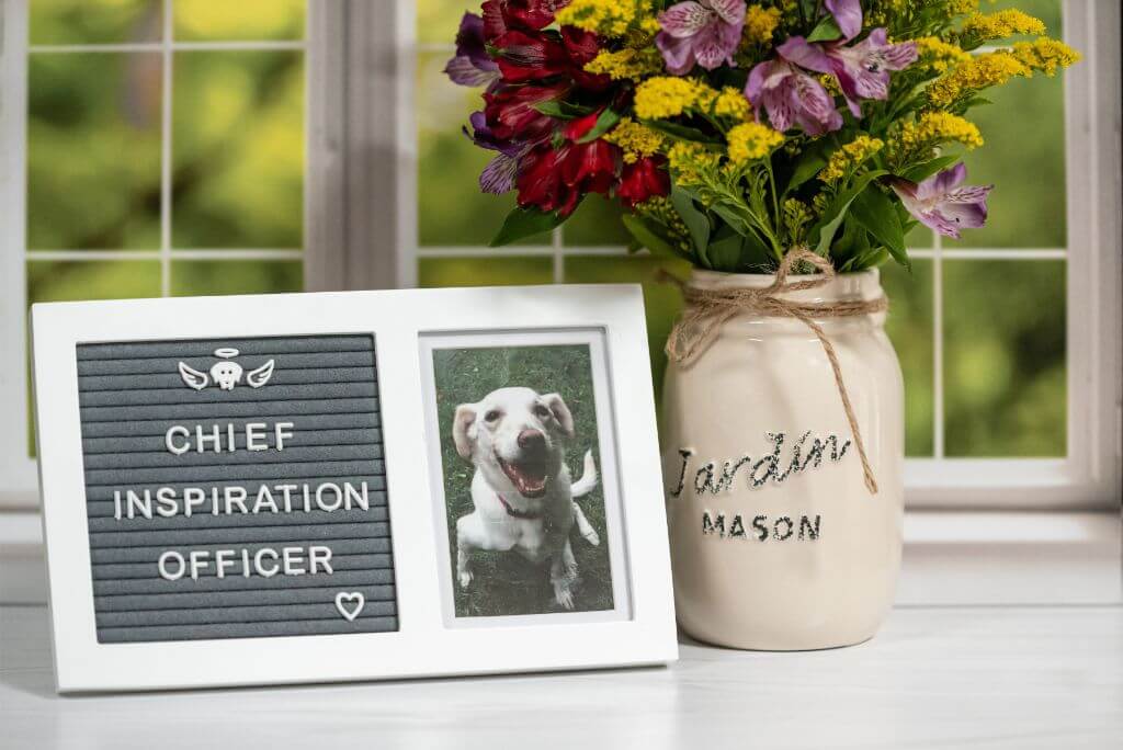 A picture of Olive, the cofounder's beloved dog whose ashes inspired the creation of the Pet Perennials Memorial Garden Kit, a wildflower garden kit to honor pets after they pass away