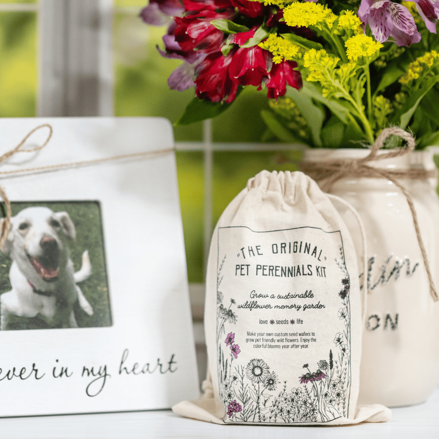 dog friendly flower seeds Pet Perennials Garden Pet Memorial Craft
