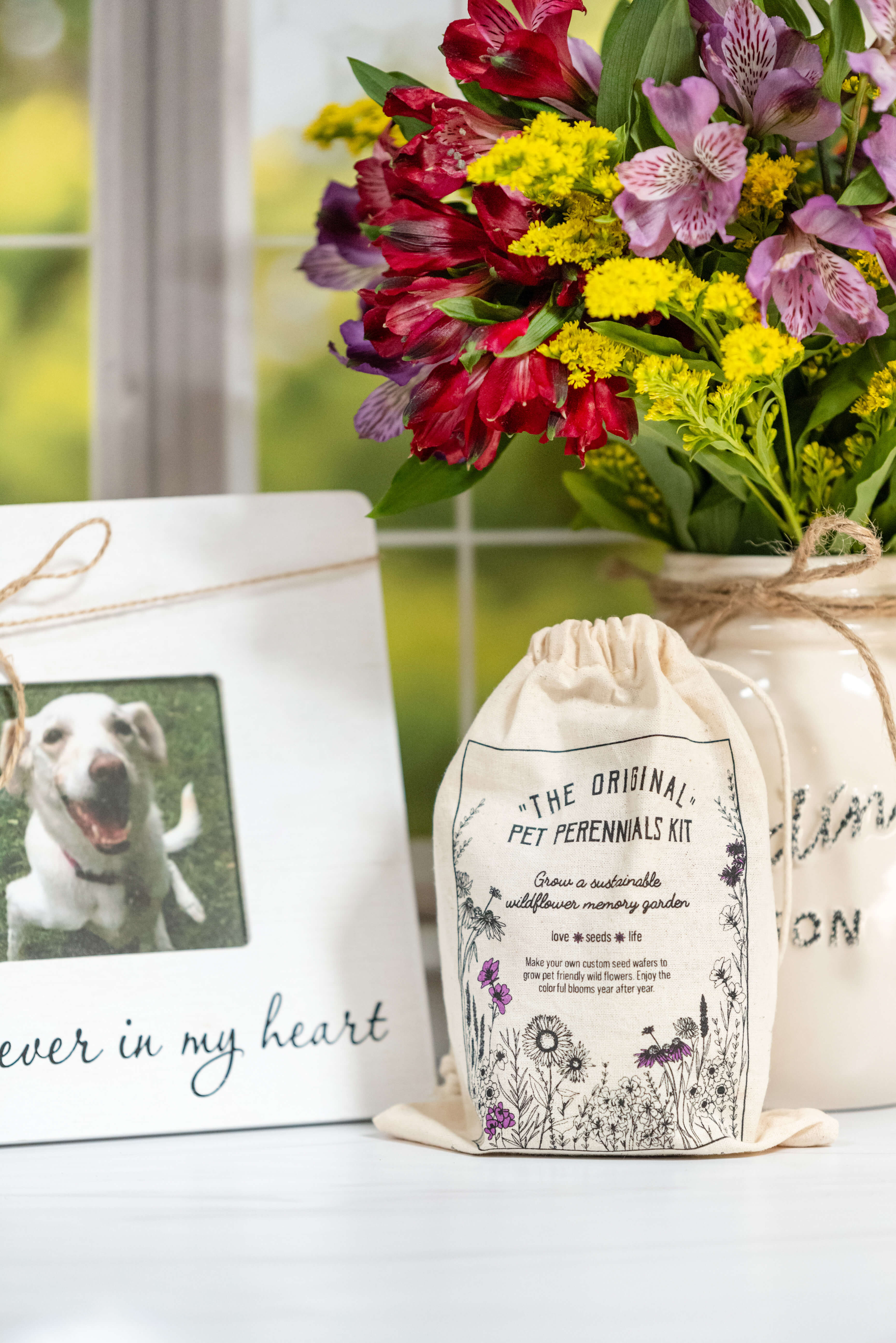 Thoughtful pet memorial gifts featuring a wildflower gardening kit and pet memorial picture frame to honor beloved pets.