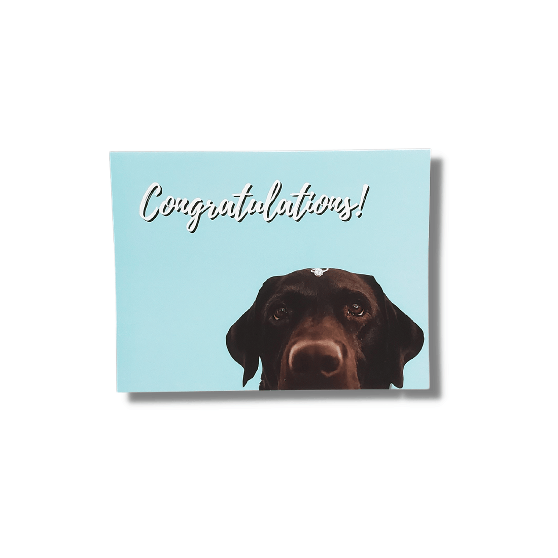 Black Labrador Retriever and Diamond Ring Engagement Cards