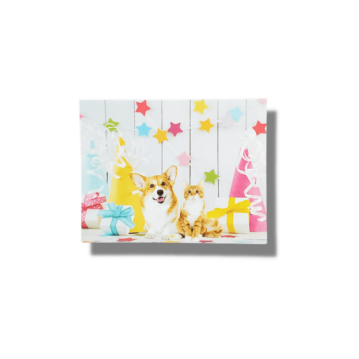 Pet Greeting Card with Dog and Cat - Celebrate Furiends Cover