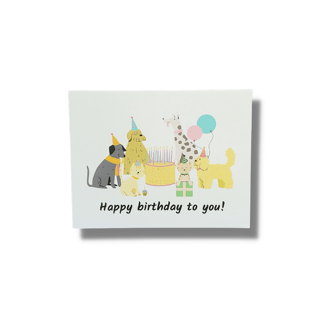 Dig In Pet Birthday Cards- Set of 6 - Pet Perennials
