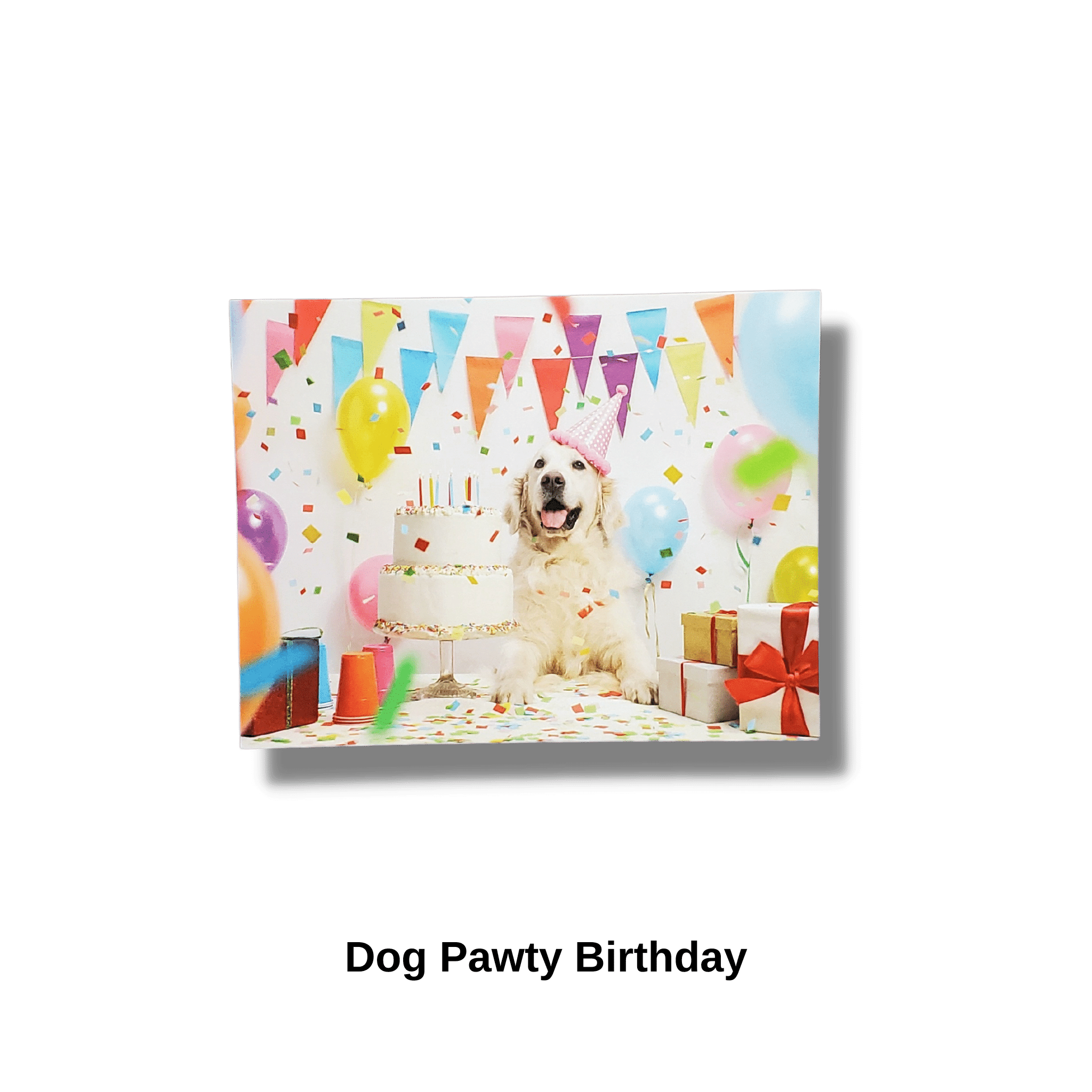 Dog Birthday Card