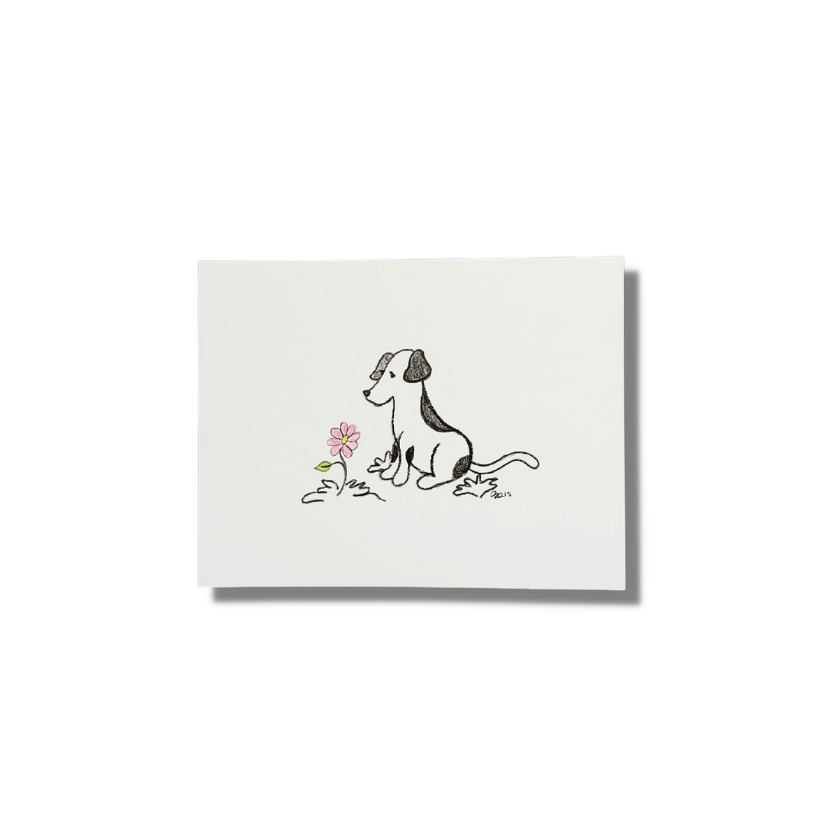 Animal Sketches Sympathy Cards - Set of 6 - Pet Perennials