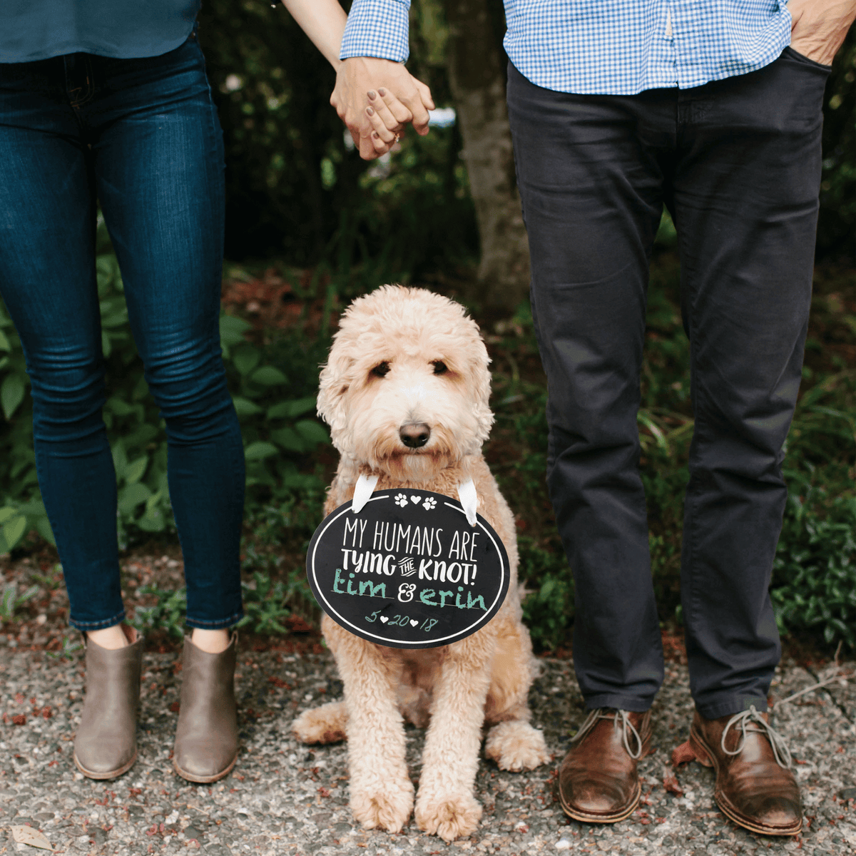 Pet Wedding Announcement Chalkboard Sign - Pet Perennials Dogs in Weddings