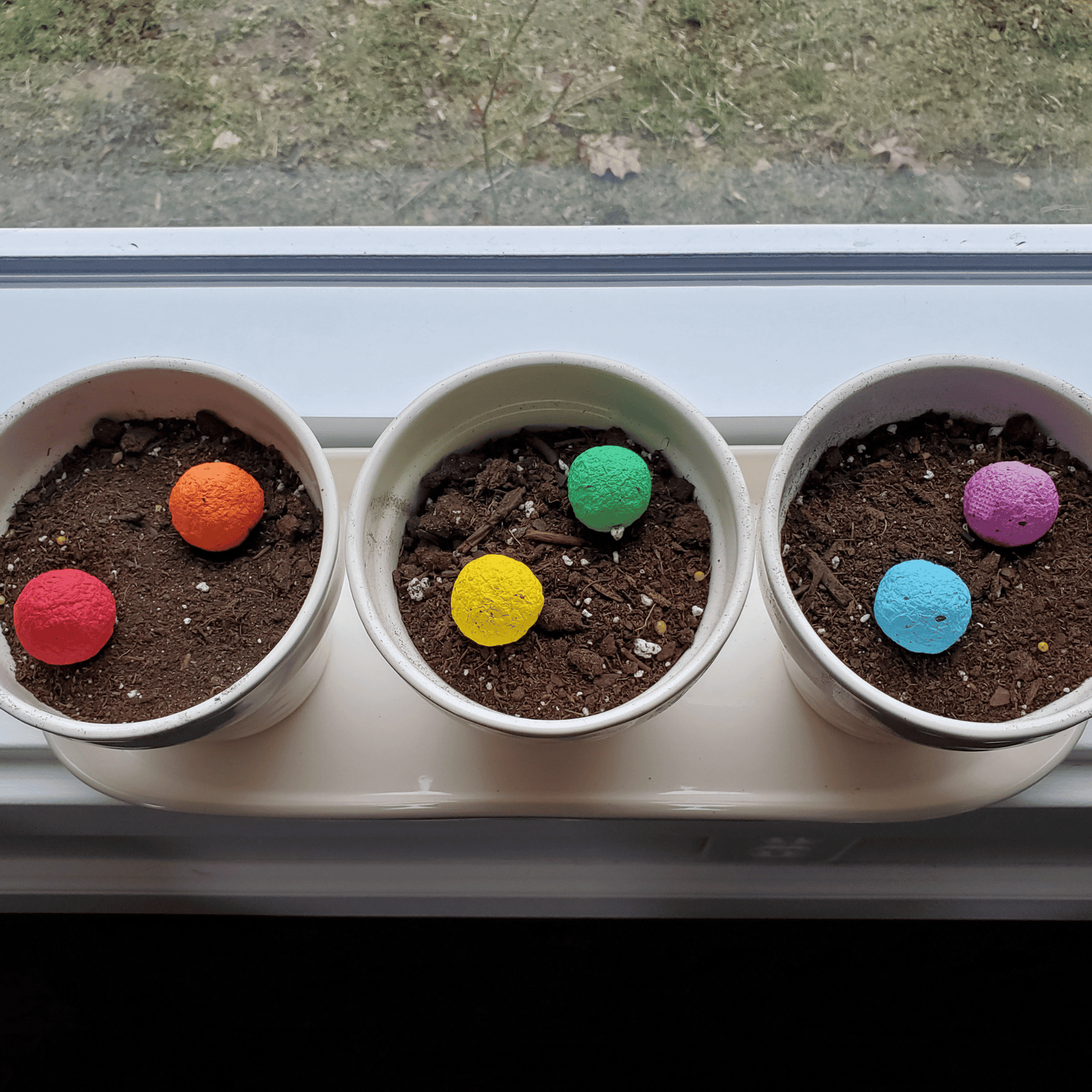 where to buy wildflower seed bombs Pet Memorial Garden Butterfly Wildflower Seed Bombs Pet Memorial Gifts