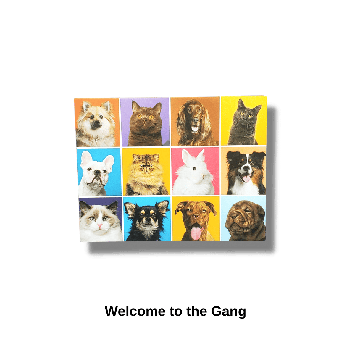 Welcome to the Gang Card