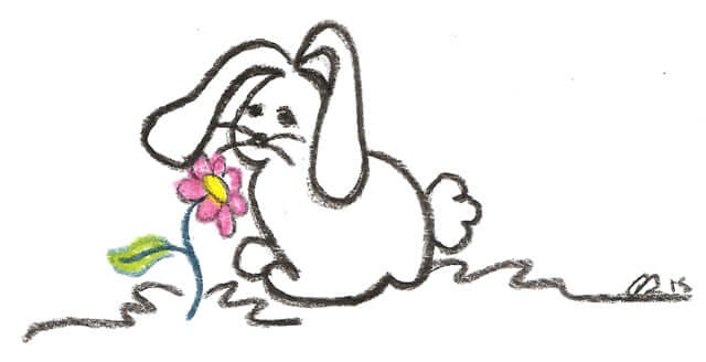 Rabbit Sympathy Card