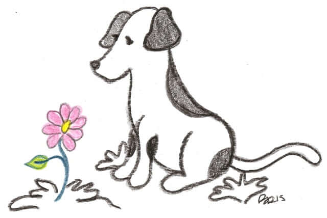 Dog Sympathy Card
